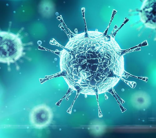 北京疫情新动态，新增22例背后的防控措施与市民生活影响