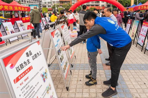 中华人民共和国行政强制法，保障行政效率与公民权益的平衡