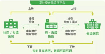 探索健康之门，出入境体检中心的指南针