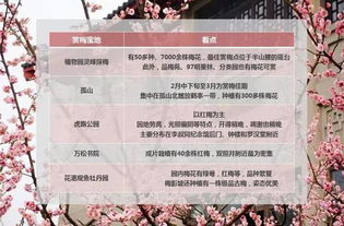 杭州市残疾人保障金，为爱筑桥，共赴美好生活
