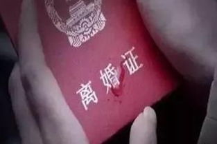 2020年，离婚之难，情感纠葛与法律挑战