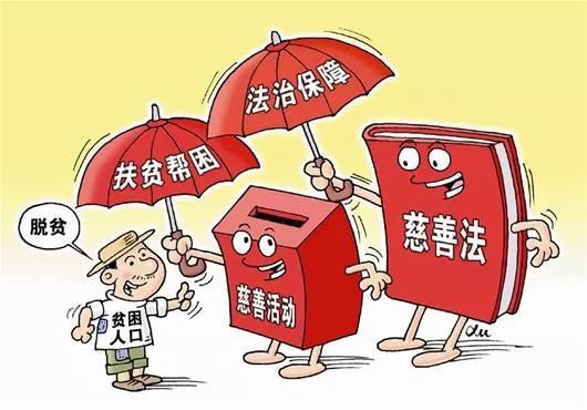 合肥劳动局，守护劳动者权益的坚强后盾