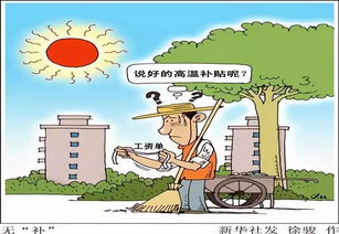 合肥劳动局，守护劳动者权益的坚强后盾