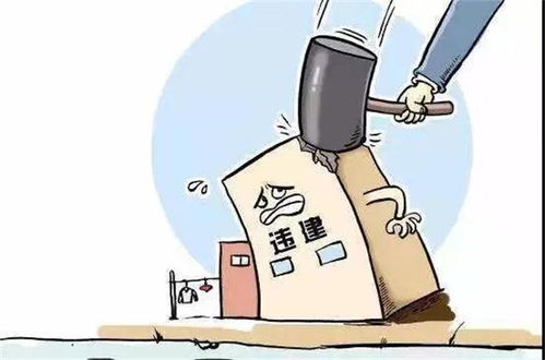 合肥劳动局，守护劳动者权益的坚强后盾