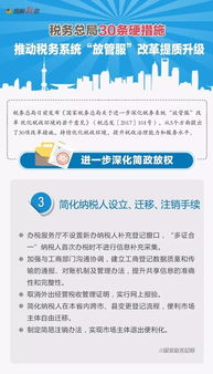 税务零申报，简化流程与合规性指南