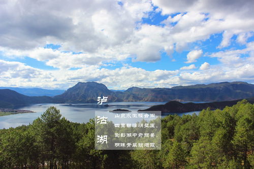 大理市，彩云之南的明珠，探秘云南的自然与文化瑰宝