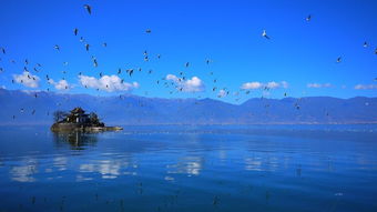 大理市，彩云之南的明珠，探秘云南的自然与文化瑰宝