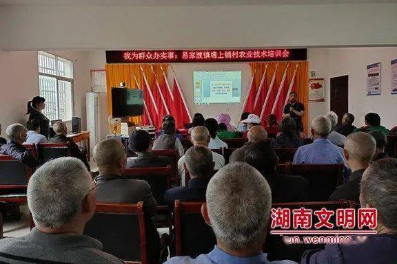 广东省人大，地方立法的先锋与实践