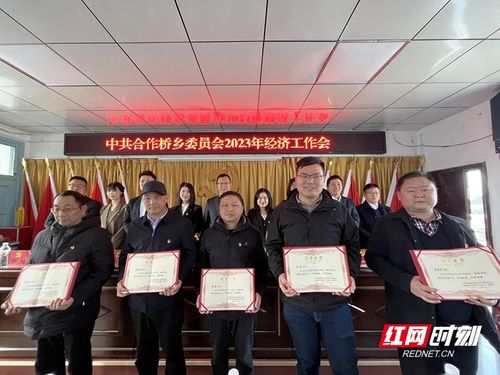 乡村治理中的桥梁，乡书记与派出所长夫人的合作与挑战