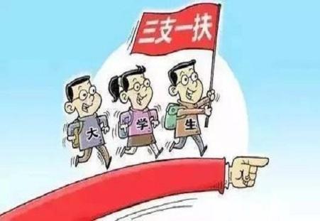 揭秘公务员走后门，公平正义的隐形挑战