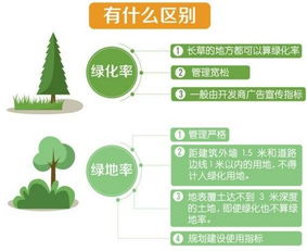 绿化覆盖率的计算与重要性，打造绿色家园的科学指南