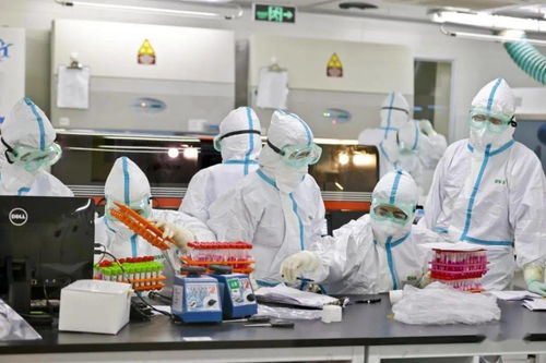 上海抗疫新篇章，全域静态管理与全员核酸筛查的守护