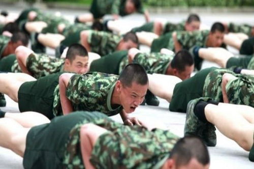 青春的选择，大学生当兵报名的荣耀之旅