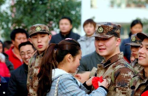 青春的选择，大学生当兵报名的荣耀之旅
