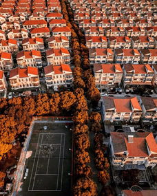 穿梭在魔都的脉搏，上海出租车的变迁与城市记忆