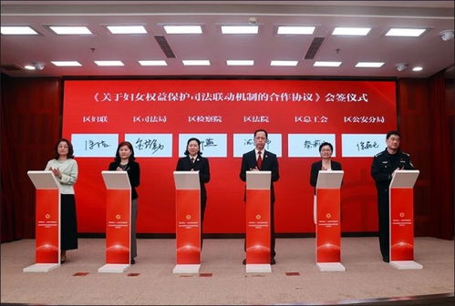 长宁区检察院，守护正义的法律之盾