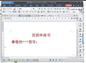 如何撰写一份有效的学生贫困申请书