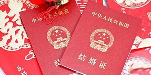 结婚证上的浪漫象征，探究印制花卉的深层含义