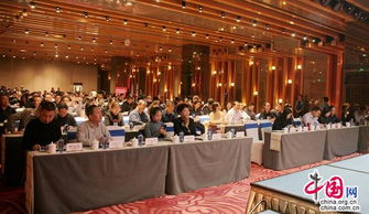 中国旅游饭店行业规范，打造卓越服务，引领行业未来