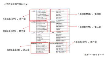 税法，你的生活小助手，基础知识大揭秘