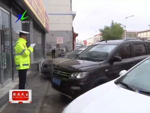 平顶山交警支队违章查询，如何高效处理交通违规