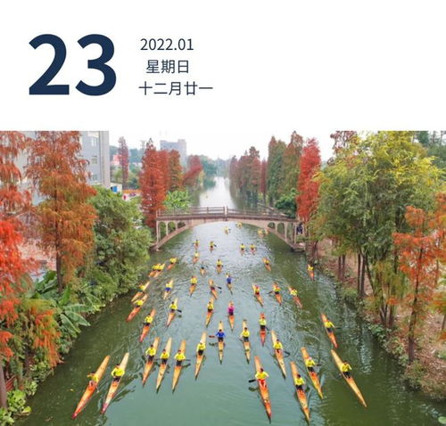 深圳疫情最新动态，昨日新增本土确诊33例，市民如何有效应对？