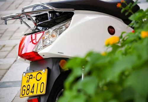 南宁电动车上牌，全面指南与实用建议