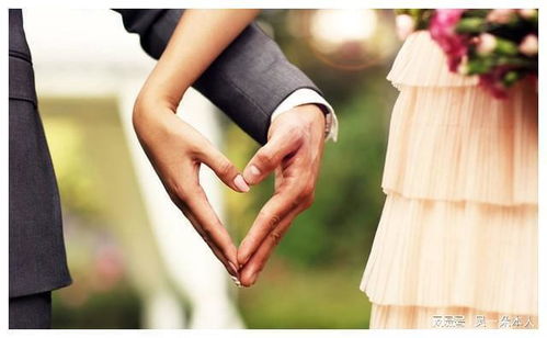 婚姻AA制，现代家庭中的经济共担与情感平衡