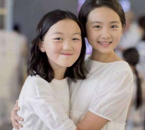 王菲与女儿抚养权之争，家庭法律与情感的交织