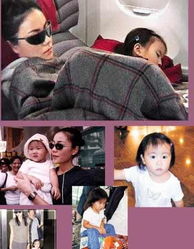 王菲与女儿抚养权之争，家庭法律与情感的交织