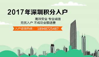 深圳积分入户代理机构，专业服务与高效解决方案