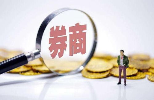 深圳劳动保障，维护劳动者权益的坚实盾牌