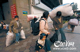 城市之光，农民工的生存现状与社会融合之路