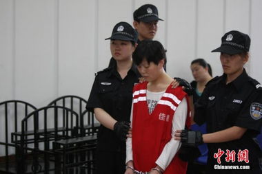 孕妇猎艳杀人案，心理剖析与社会警示