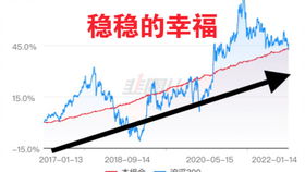 如何买新股，新手投资者的入门指南