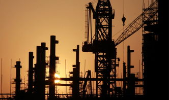 石碣房屋出租，市场动态、租房技巧与未来趋势