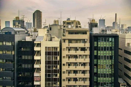 石碣房屋出租，市场动态、租房技巧与未来趋势