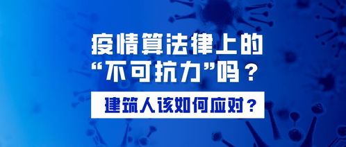 疫情风暴，全国21省的共同挑战与应对之道