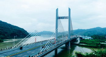 黑龙江省地税局，税收服务与地方经济发展的桥梁