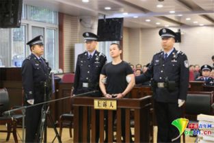 张扣扣杀人案，法律、情感与社会正义的交织