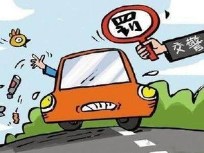 义乌交通违章查询，守护您的驾驶安全与信用