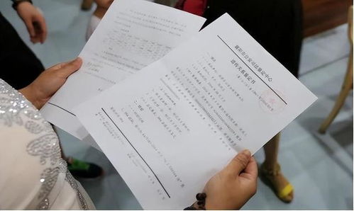 台州亲子鉴定，科学、法律与情感的交织