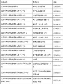 沈阳市养老保险，保障体系的深度解析与未来展望