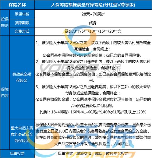 中国人寿福禄满堂，全面解析与投保指南