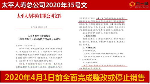 中国人寿福禄满堂，全面解析与投保指南