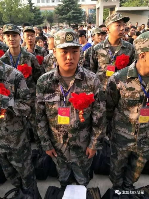 老兵与新兵，军营中的传承与成长