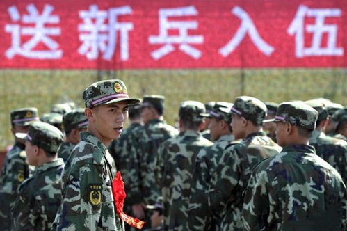 老兵与新兵，军营中的传承与成长