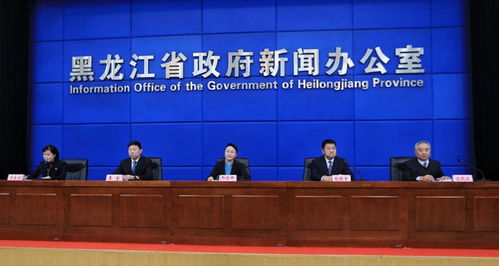 凉山州人民政府，推动区域发展，共创繁荣未来