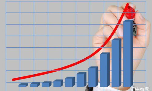 深入理解收益率公式，计算、应用与投资决策