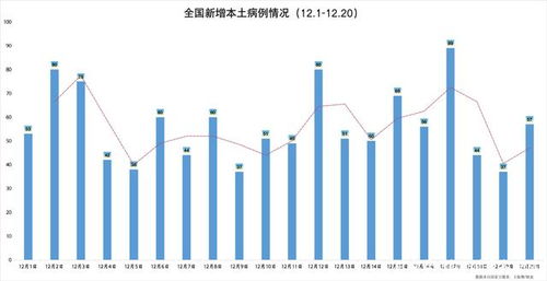 31省新增本土13例，疫情新动态与防控措施的深度解析